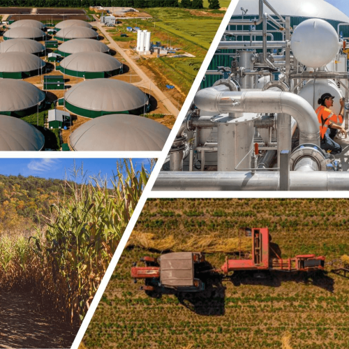 A Bioenergia na Rota do Hidrogênio de Baixo Carbono